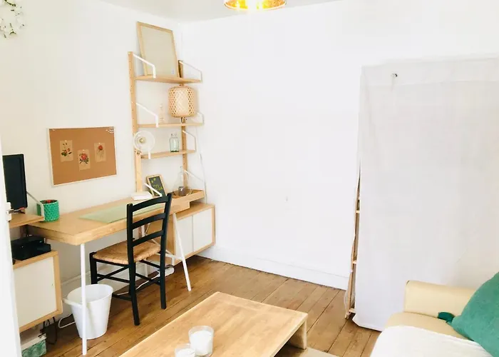 Appart Cosy Dans Le Vieux Tours